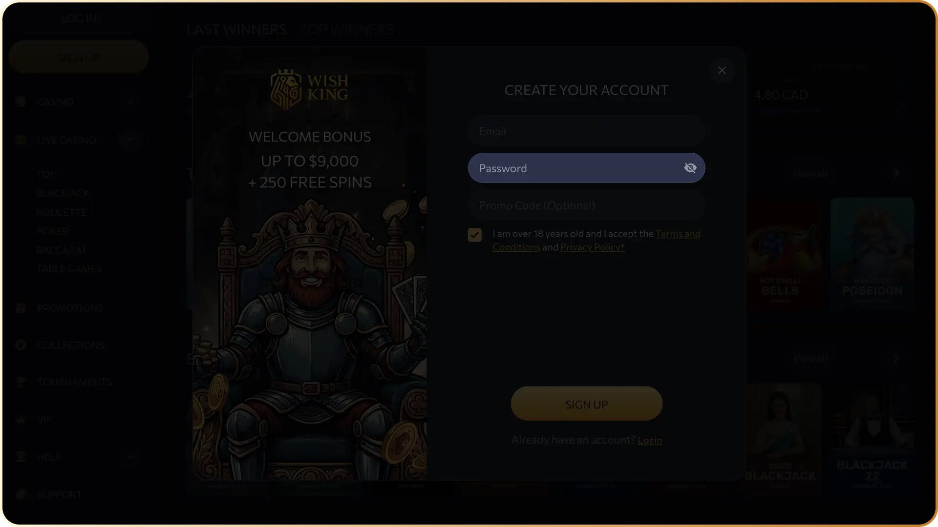 Set CAD as your primary account currency and create a secure password for your profile at WishKing Canada.